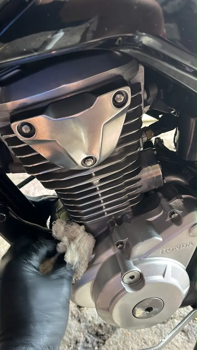 Motor de moto sendo limpo com a mão de luva preta